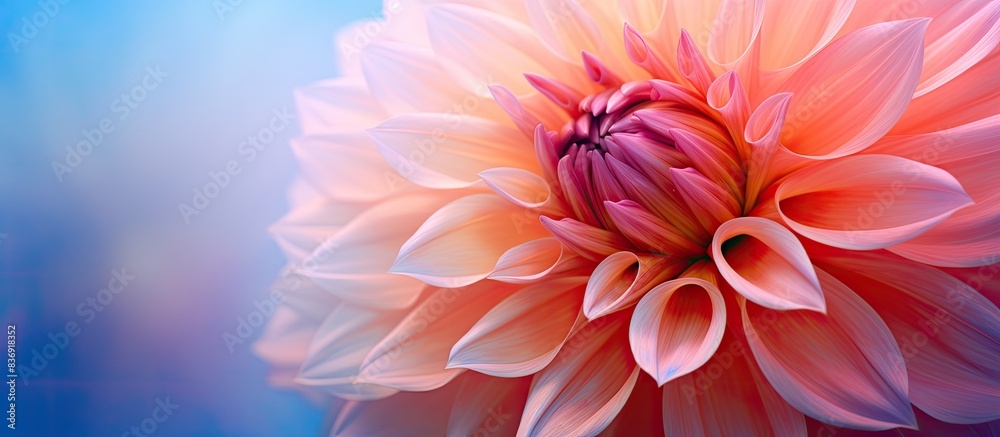 Aufkleber Soft focus close-up image of a dahlia flower for use as background with copy space image.