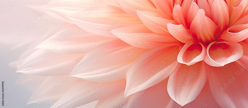Aufkleber Soft focus close-up image of a dahlia flower for use as background with copy space image.
