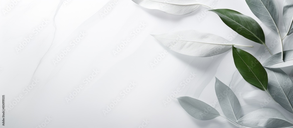 Aufkleber marble white-gray backdrop with leaf shadow on wall studio background for showcasing cosmetic produc