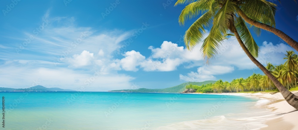 Poster tropical beach scene with coconut palm trees and ocean view, perfect for a copy space image.