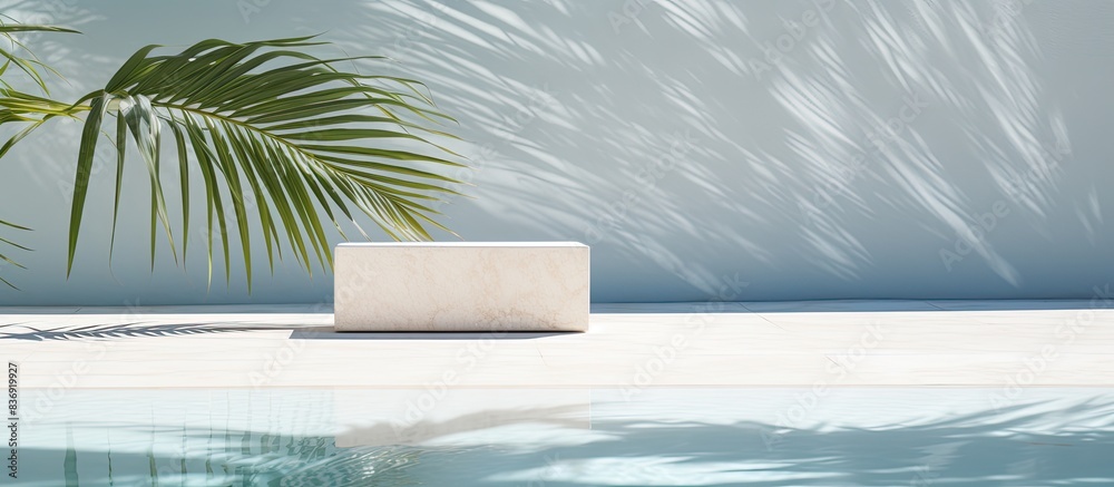 Poster marble podium in a pool with palm shadow is a summer-themed luxury product placement setting - ideal