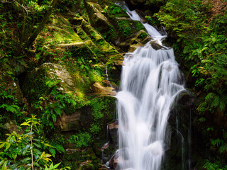 Fototapeta premium 滝 水の流れ