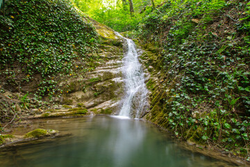 Waterfall on the river in nature in summer
