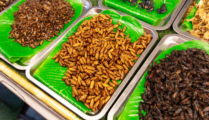 Fried maggots and grasshoppers. Food in Thailand