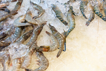 Shrimp and crayfish on ice at the market.