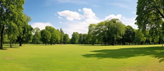 Obraz premium Park with trees and green space, suitable for outdoor activities, with ample copy space image.