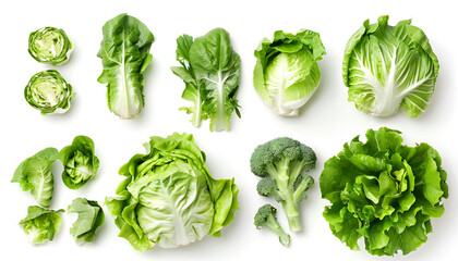 Whole and cut fresh green iceberg lettuces isolated on white