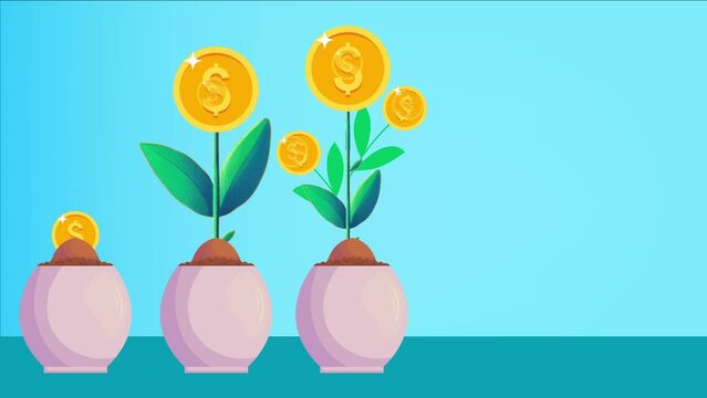 Flower animation as an illustration of financial growth