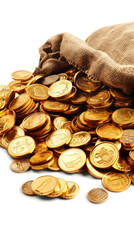 gold coins in a rag bag