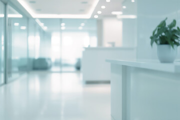 Fototapeta premium Modern blurred interior of an empty medical clinic with a white desk with potted plant and reception. Clean and minimalist design. Shallow depth of field