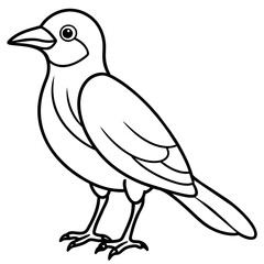 Fototapeta premium bird