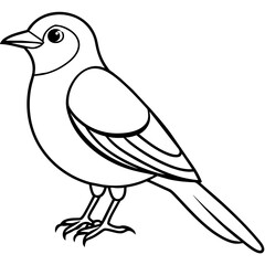 Fototapeta premium bird on a white background