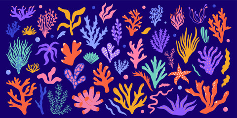 Set of various underwater plants, seaweed, algae, corals, marine creatures, species. Sea and ocean flora, fauna, biodiversity design concept, cartoon abstract vector illustration elements collection © WeirdyTales