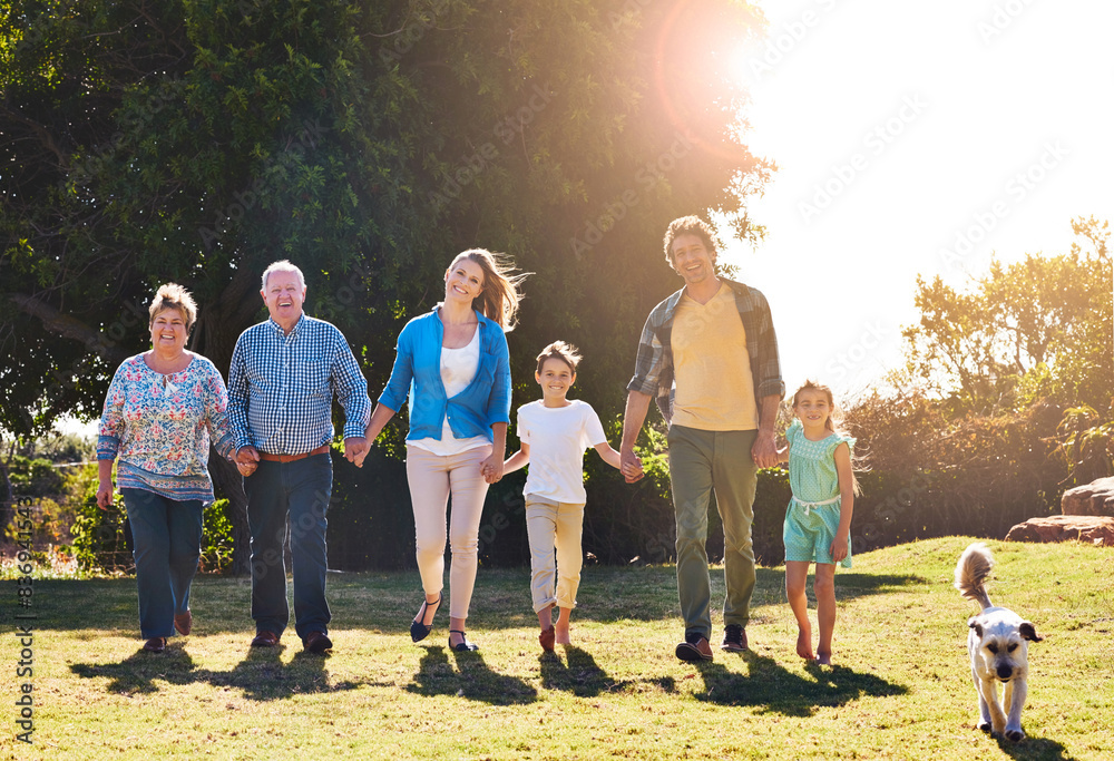 Sticker Portrait, generations and family with walking in park for love relationship, support together and holding hands. Happy couple, children and grandparents in nature for summer sunshine and vacation