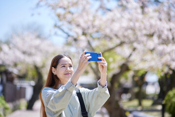 春の観光地でスマートフォンで撮影をする外国人観光客の女性