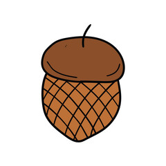 Hand drawn acorn doodle on white background. © Павел Костенко