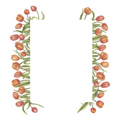 Watercolor frame made of tulip flowers with an empty space for text. Composition for the design of stationery, postcards, holiday greetings, wedding invitations. Handmade illustration isolated