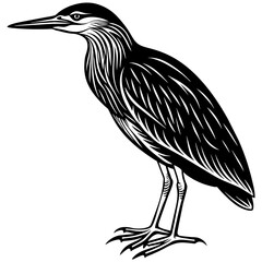 heron isolated vector illustration on a white background
