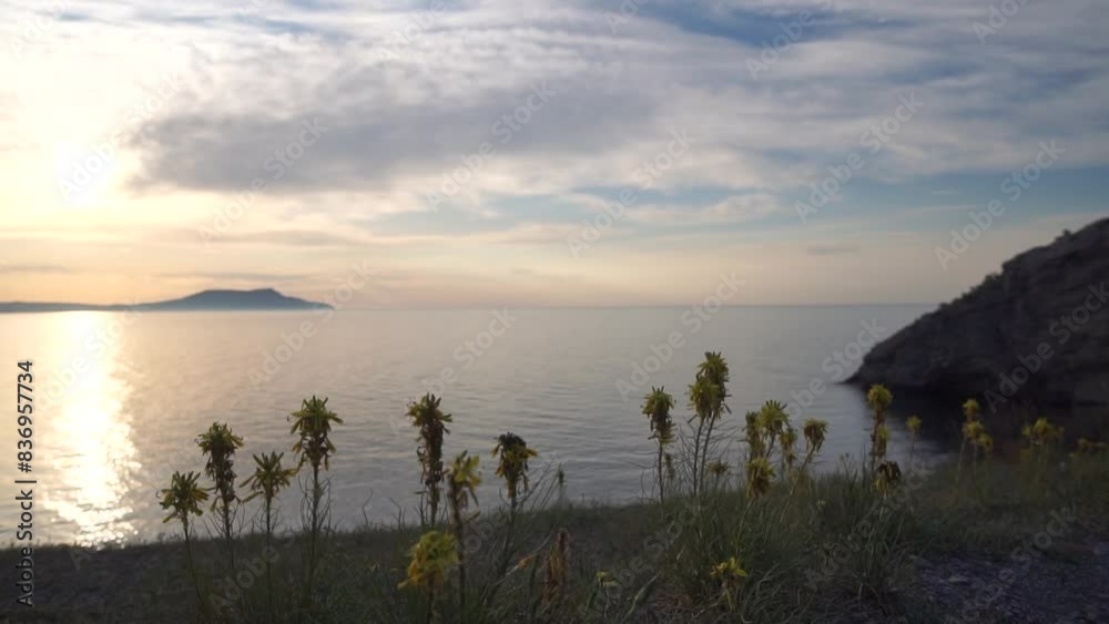 Wall mural a beautiful view of the ocean with a few yellow flowers in the foreground. the sun is setting, casti