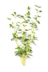 Whole fresh thyme sprigs, green twigs of Thymus vulgaris, from above. A medicinal and aromatic culinary herb, also grown as ornamental plant. Close-up, from above, on white background, food photo.