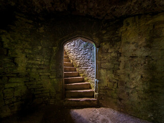 Underground storeroom doorway stairs at Raglan Castle (Wales, United Kingdom)