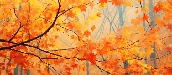 Vibrant autumn foliage in a natural setting with space for writing or images.