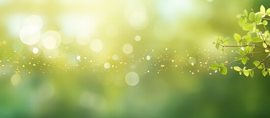 Obraz premium Green and yellow-toned bokeh outdoors with sunlight, creating a natural background blur perfect for a copy space image.