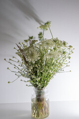 Bouquet of white flowers on a white background. Wild carrot and yarrow. Simple summer flower. Nature flora aesthetic. Petal bud. Floral botanical. Minimal style.