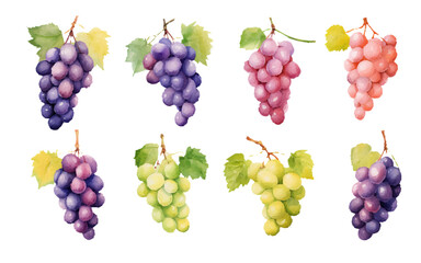 Set of watercolor style illustrations of grapes. Generation AI