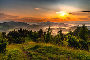 Pieniny , Tatry , Karpaty , góry  © Daniel Folek
