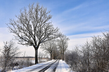 Country road in winter