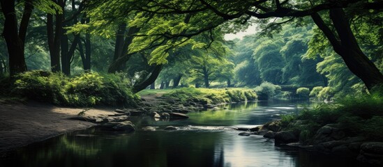 Calm river in a green park. Creative banner. Copyspace image