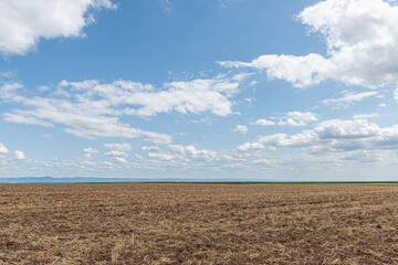 mowed agriculture field under a cloudy summersky