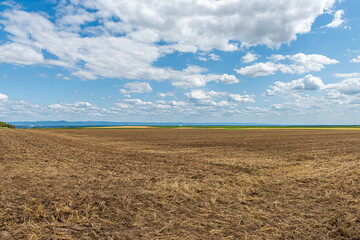 mowed agriculture field under a cloudy summersky