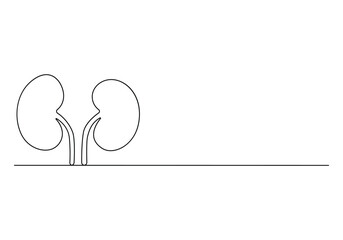 Human kidney continuous one line drawing vector illustration 