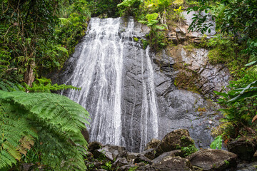 at base of la coca falls in el yunque national forest puerto rico