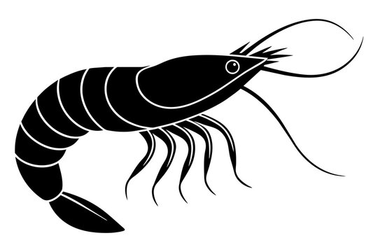 recommend clip art: shrimp silhouette vector illustration