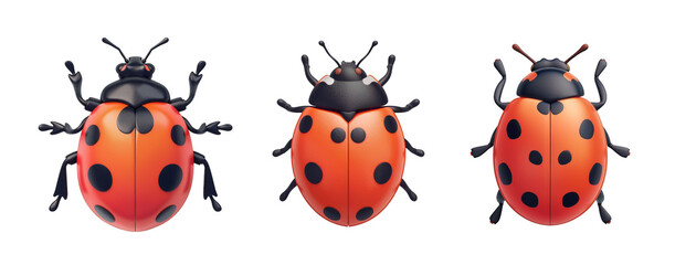 Naklejka premium 3D cute cartoon ladybug insect, perfect for educational materials, children's books, and creative design projects isolated on transparent background cutout png