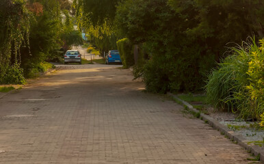 Mała uliczka w mieście bogato obsadzona roślinami ozdobnymi. Wiosenne popołudnie na małej – bogatej florystycznie – uliczce domów jednorodzinnych.