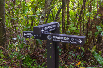 小笠原諸島・母島　乳房山の風景　
