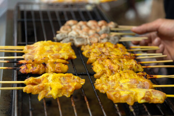 Chicken satay is a popular street food in Southeast Asia. It is made from chicken skewers that are marinated in a mixture of spices and then grilled. The chicken is served with a peanut sauce.