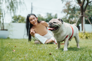 Happy Young Asian Woman playing with a happy pug dog in the backyard, showcasing a joyful and...