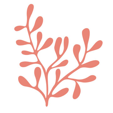 recommend clip art: Vector Illustration of Seaweed on the White Background.