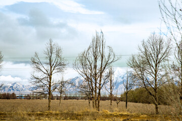 Haixi Mongolian and Tibetan Autonomous Prefecture, Qinghai Province - grasslands and roads under the snow-capped mountains
