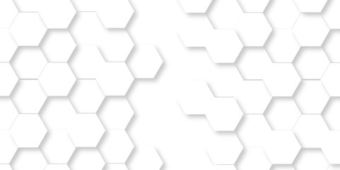 Vector pattern with hexagonal white and gray technology line paper background. Hexagonal 3d grid tile and mosaic structure mess cell. white and gray hexagon honeycomb geometric copy space.