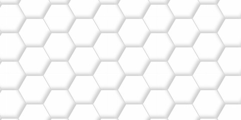 Vector pattern with hexagonal white and gray technology line paper background. Hexagonal 3d grid tile and mosaic structure mess cell. white and gray hexagon honeycomb geometric copy space.