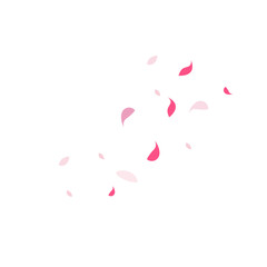 Spring Sakura petals