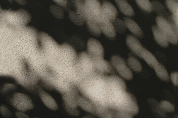 Tree leaves shadow on the white textured wall natural ornament.