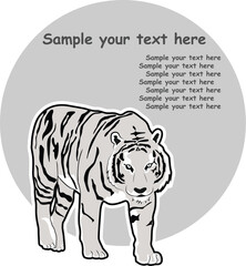 White Tiger Symbol, Vector Picture Background