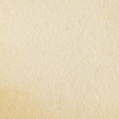 Fototapeta premium green earth tone paper background texture